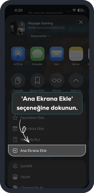 Ana Ekrana Ekle seçeneğine dokunun.